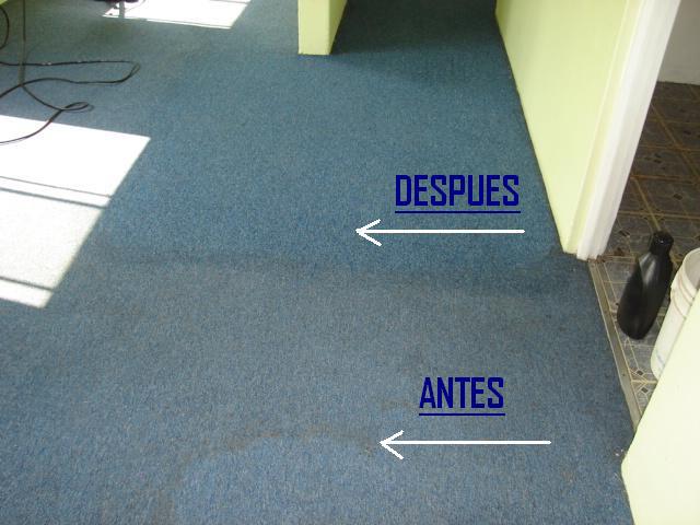 el angel servicios de limpieza