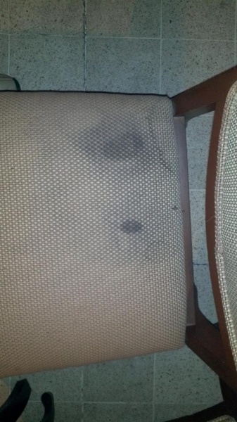 Lavado de Muebles de Tela