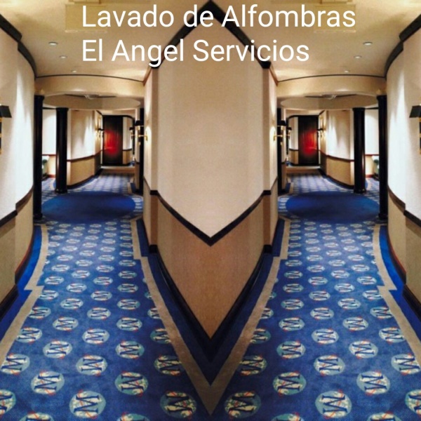 LAVADO DE ALFOMBRAS_ El Ángel Servicios
